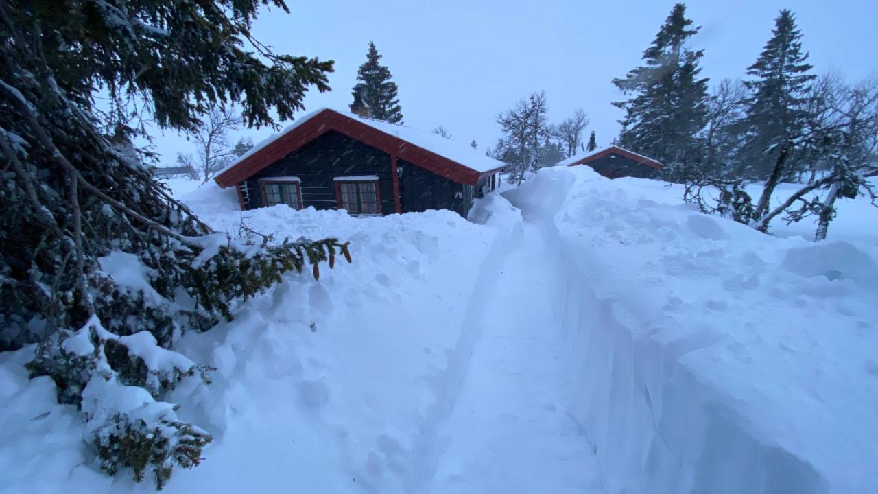 Bjerkely, *