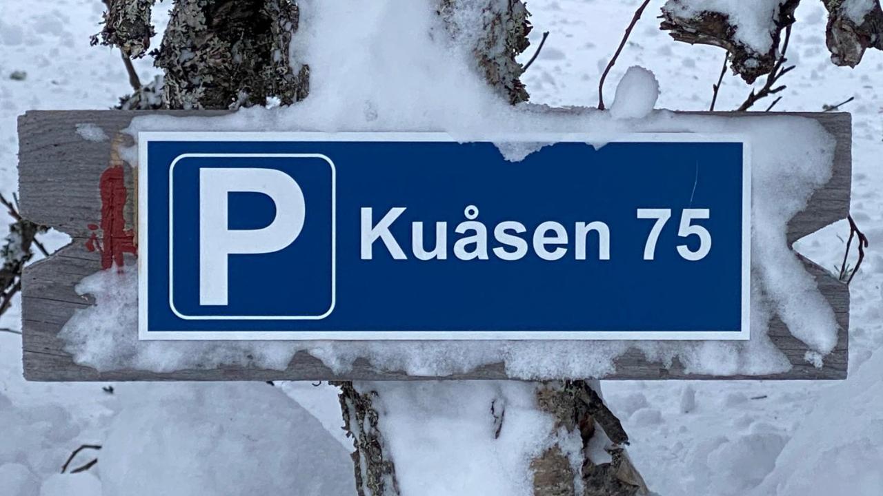 Bjerkely, *