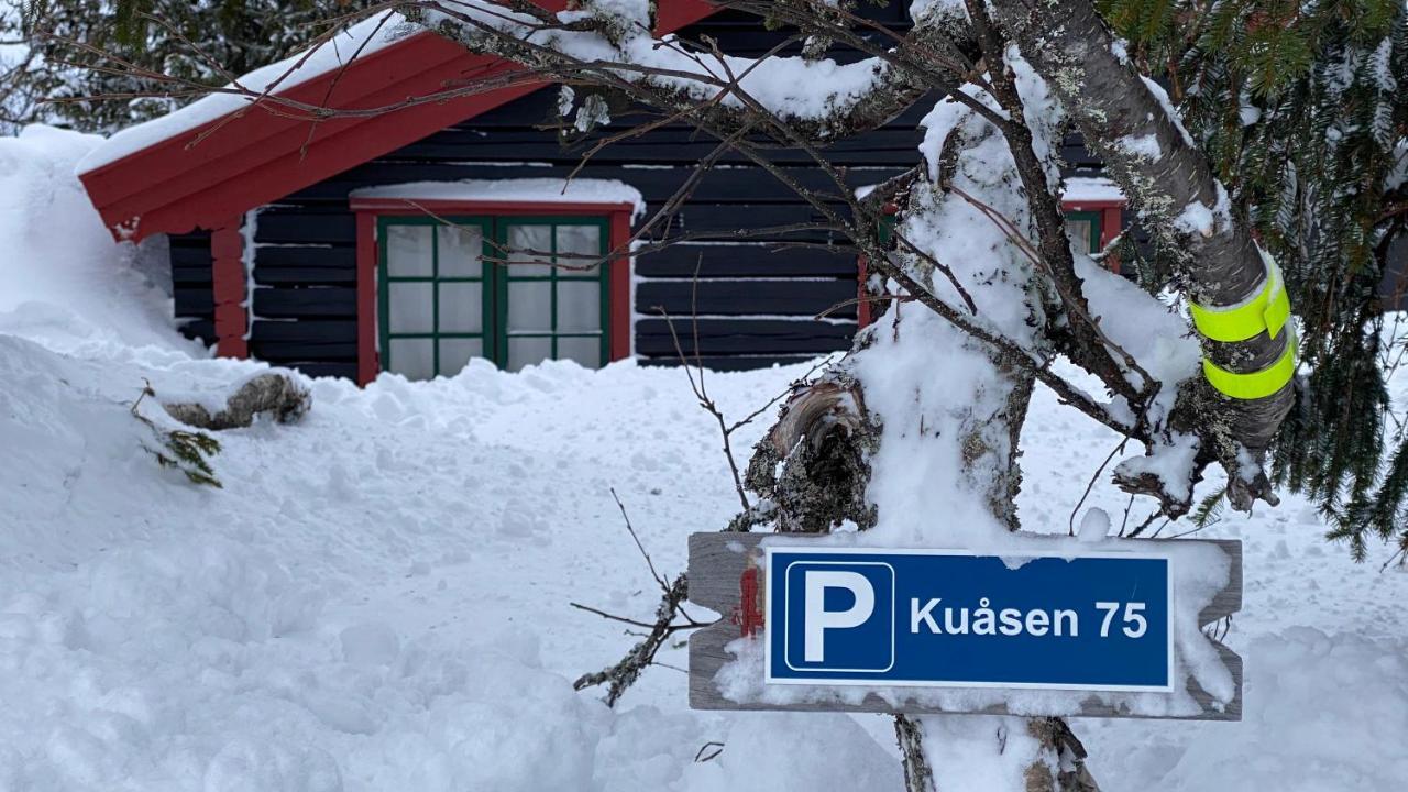 Bjerkely,