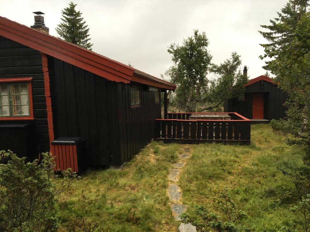 Bjerkely, * Sjusjoen