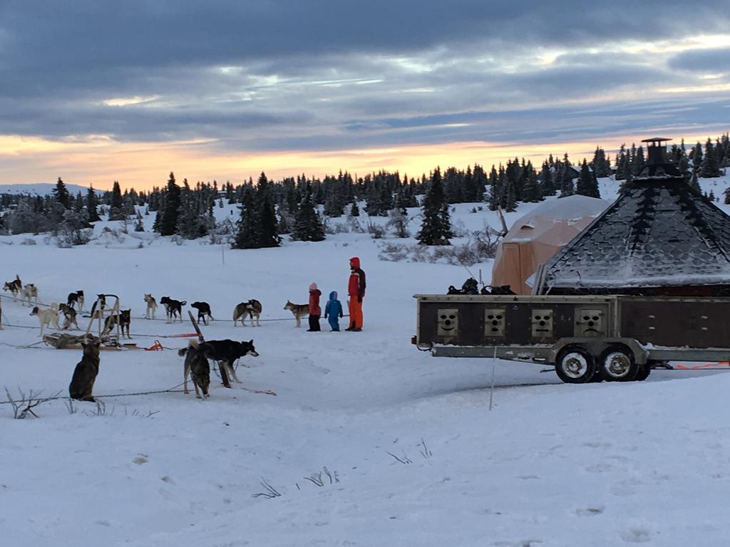 Bjerkely, Hébergement de vacances