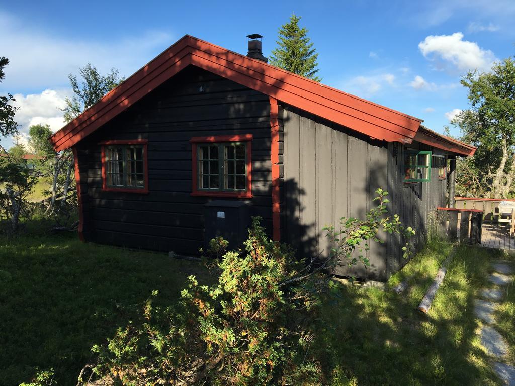 Bjerkely, Sjusjoen
