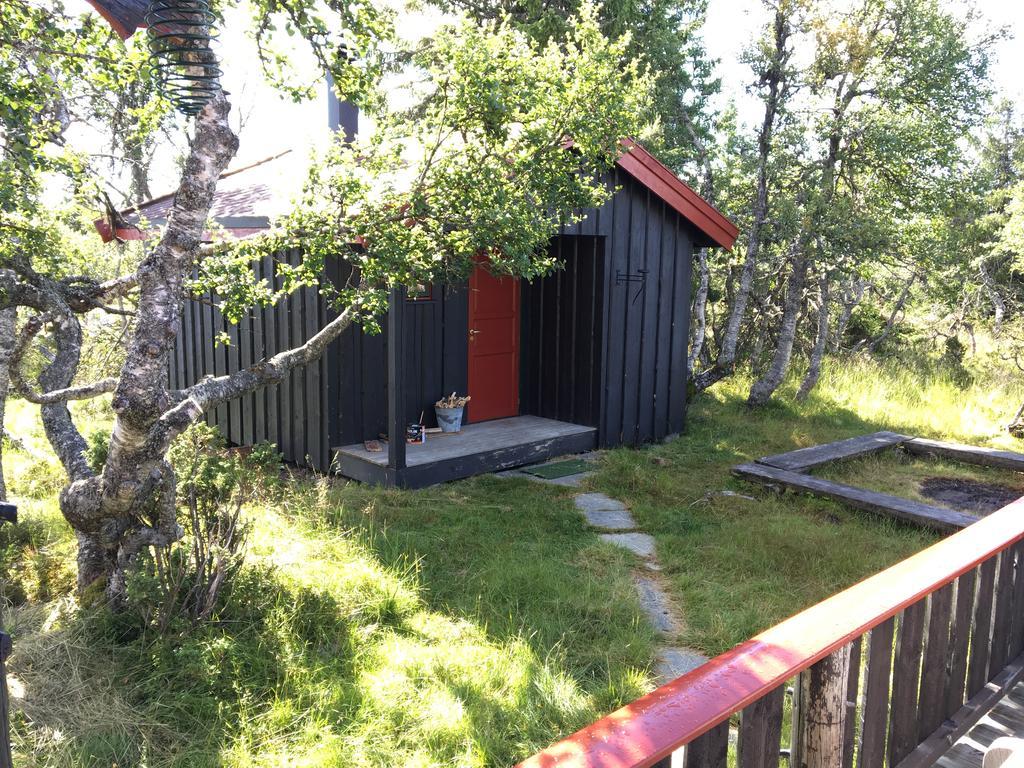 Bjerkely, *