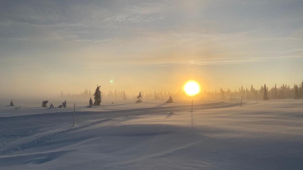 Bjerkely, Hébergement de vacances Sjusjoen
