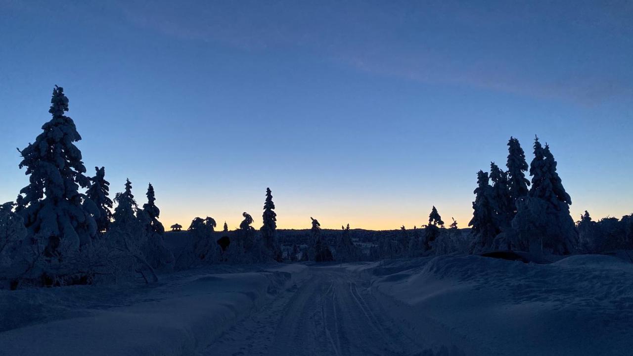 Bjerkely, *
