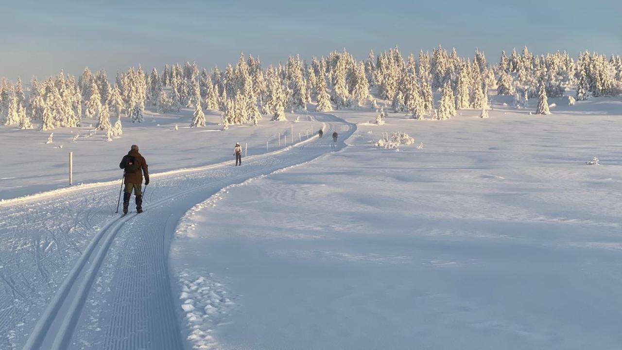 Bjerkely, * Sjusjoen