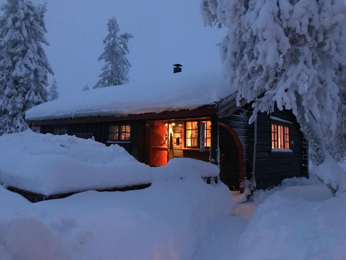 Bjerkely, Sjusjoen