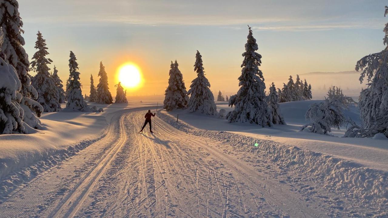 Bjerkely, Hébergement de vacances